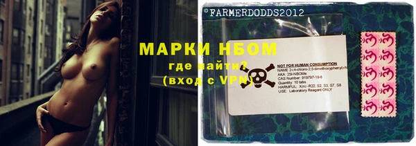 прущие грибы Беломорск