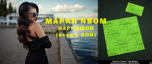 шишки Белокуриха