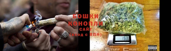 шишки Белокуриха