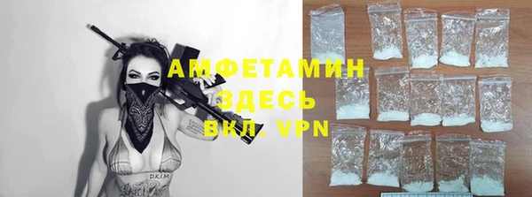 шишки Белокуриха