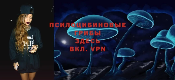 прущие грибы Беломорск