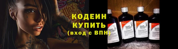 шишки Белокуриха