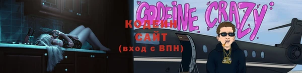 шишки Белокуриха