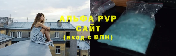 прущие грибы Беломорск