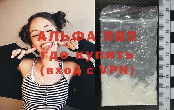 шишки Белокуриха