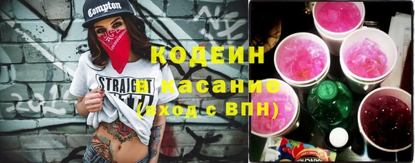 шишки Белокуриха