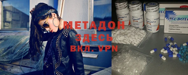 шишки Белокуриха