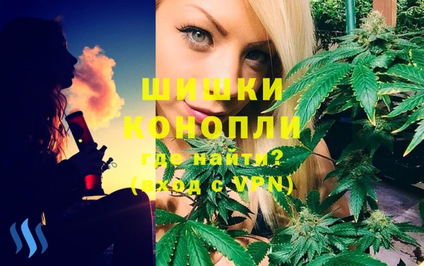 прущие грибы Беломорск