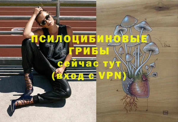 спиды Балабаново