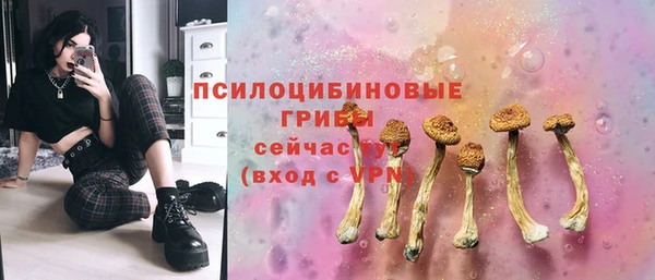 прущие грибы Беломорск