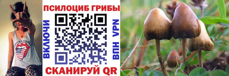 мега ONION  Мценск  Псилоцибиновые грибы мухоморы 